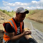 ���������� ������, ���� ������� �������, 33 ����, ������������ ��� ������, ����� � ���������, c�������� ���������