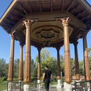 ���������� �����������, ���� ������� �������, 39 ���, ������������ ��� c�������� ���������, ���������