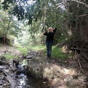  Oshkosh,   , 60 ,   c 