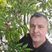 ���������� ������, ���� ������� Darius, 62 ����, ������������ ��� ������, ����� � ���������