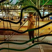 ���������� �����-���������, ���� ������� ������, 41 ���, ������������ ��� ������, ����� � ���������