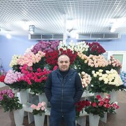  --,   , 43 ,   ,   , 