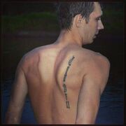 ���������� ������, ���� ������� �����, 33 ����, ������������ ��� ������, ����� � ���������, ���������