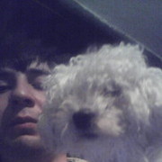 ���������� ������, ���� ������� ARSEN, 33 ����, ������������ ��� ������