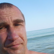  -,   Vitek, 79 ,   ,   , c 