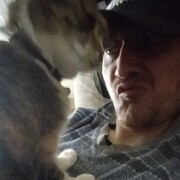 ���������� �����-���������, ���� ������� ���������, 36 ���, ������������ ��� ������, ����� � ���������