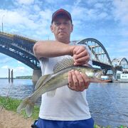 ���������� �������, ���� ������� Dmitry, 41 ���, ������������ ��� ������, ����� � ���������, c�������� ���������, ���������