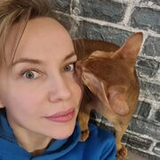 ����� �����))