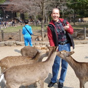  ,   , 54 ,   