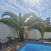  ,   , 39 ,   ,   