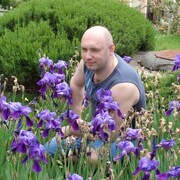 ���������� ������������, ���� ������� ����������, 47 ���, ������������ ��� ����� � ���������, c�������� ���������