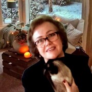 ���������� ���������, ���� ������� �������, 60 ���, ������������ ��� c�������� ���������