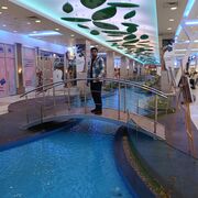 ���������� �����-���������, ���� ������� �����, 29 ���, ������������ ��� ������, ����� � ���������