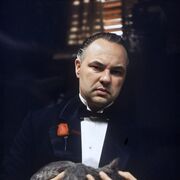 ���������� ����������, ���� ������� ������, 40 ���, ������������ ��� ������, ����� � ���������, c�������� ���������