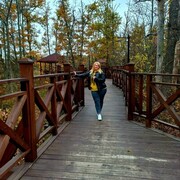 ���������� �������, ���� ������� ����, 35 ���, ������������ ��� c�������� ���������