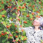  ,   Irina, 64 ,   