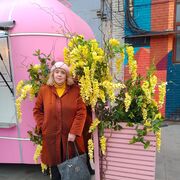  -,   , 52 ,   ,   