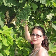 ���������� ������, ���� ������� �������, 44 ����, ������������ ��� ������, ����� � ���������, c�������� ���������