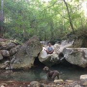 ���������� ����, ���� ������� ����, 37 ���, ������������ ��� ������, ����� � ���������