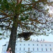 ���������� �����-���������, ���� ������� ������, 27 ���, ������������ ��� ������, ����� � ���������, c�������� ���������