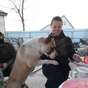  ,   , 44 ,   ,   