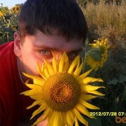  ,    , 33 ,  