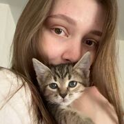 ���������� ���������, �����