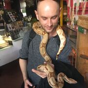 ���������� ����, ���� ������� ����, 41 ���, ������������ ��� ������, ���������