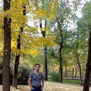  ,   , 39 ,   