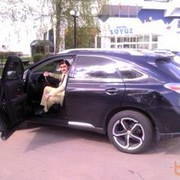  ,   Alik, 51 ,   