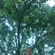  ,   , 43 ,   ,   , c , 