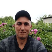  ,   , 47 ,     , 