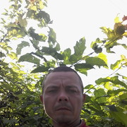  ,   , 43 ,  