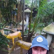 ���������� ������, ���� ������� �����, 58 ���, ������������ ��� ������, ����� � ���������, c�������� ���������