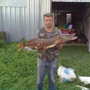  ,   , 55 ,   ,   