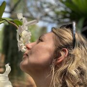 ���������� ������, ���� ������� �����, 48 ���, ������������ ��� ������, ����� � ���������, c�������� ���������, ���������