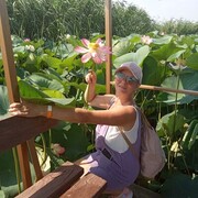 ���������� ����������, ���� ������� �����, 55 ���, ������������ ��� ������, ����� � ���������, c�������� ���������