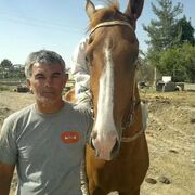  ,   , 51 ,     , c , 