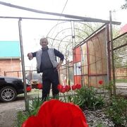  ,   , 55 ,   ,   