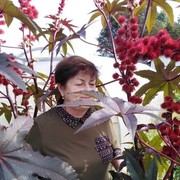  ,   , 74 ,   c , 