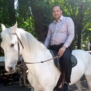 ���������� ������, ���� ������� ���������, 43 ����, ������������ ��� ������, ����� � ���������