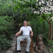 ���������� ������, ���� ������� ������, 37 ���, ������������ ��� ������, ����� � ���������, c�������� ���������