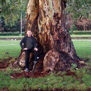  ,   , 50 ,   ,   , c 