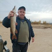 ���������� ������������, ���� ������� ��������, 53 ����, ������������ ��� ������, ����� � ���������