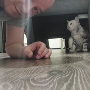 ���������� �����������, ���� ������� ������, 45 ���, ������������ ��� ������, ����� � ���������, c�������� ���������