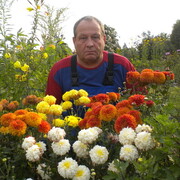  ,   , 72 ,   ,   , c 