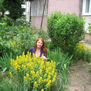  ,   Alusik, 48 ,  