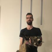 ���������� ���������, ���� ������� �������, 31 ���, ������������ ��� ������, ����� � ���������