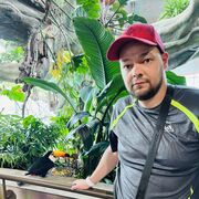 ���������� ���������, ���� ������� ������, 36 ���, ������������ ��� ������, ����� � ���������