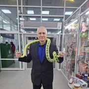  ,   , 58 ,     